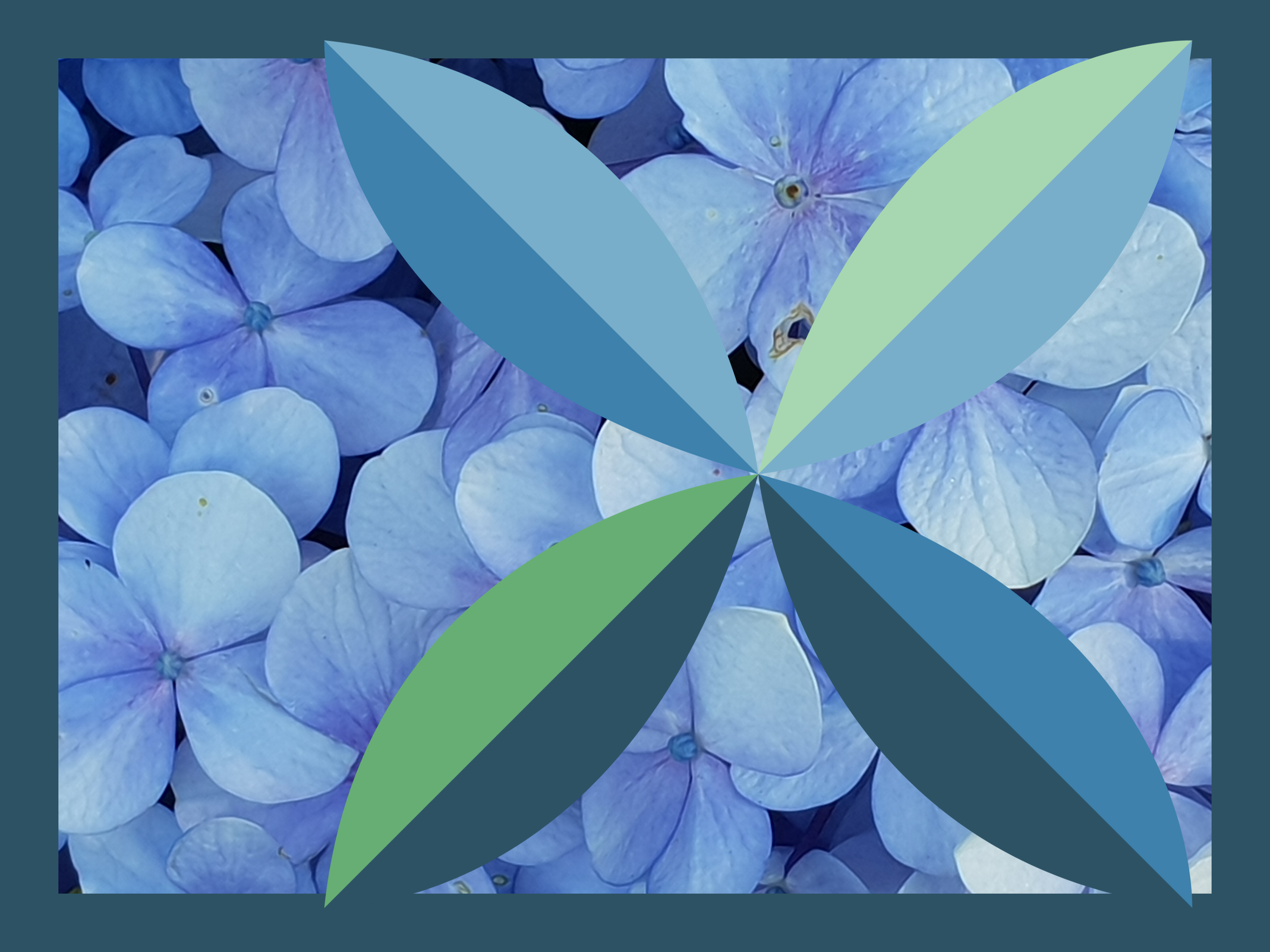BCG L&L logo in front of a background of hydrangea petals